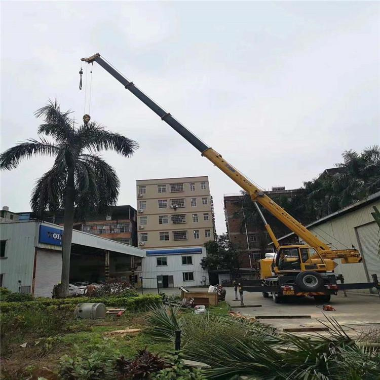 资阳汽车吊出租多少钱？全面解析与市场行情